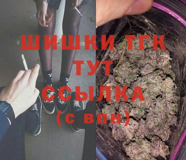 индика Арсеньев