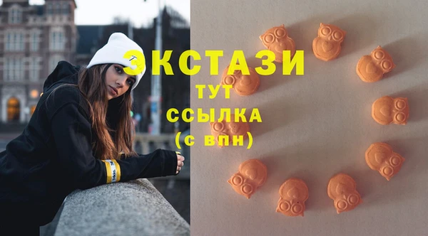 индика Арсеньев