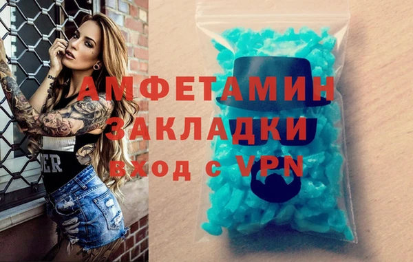 индика Арсеньев