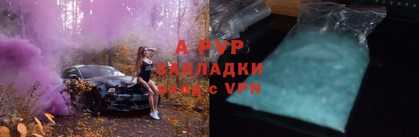 индика Арсеньев