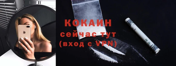 индика Арсеньев