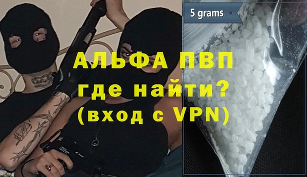 индика Арсеньев