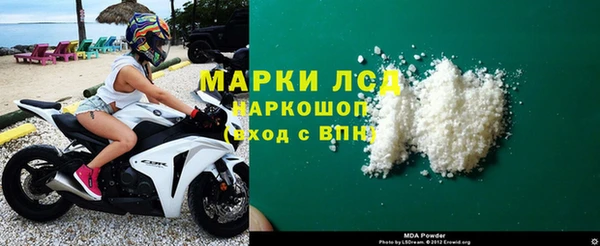 индика Арсеньев