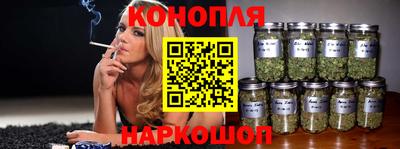 крисы Краснодар